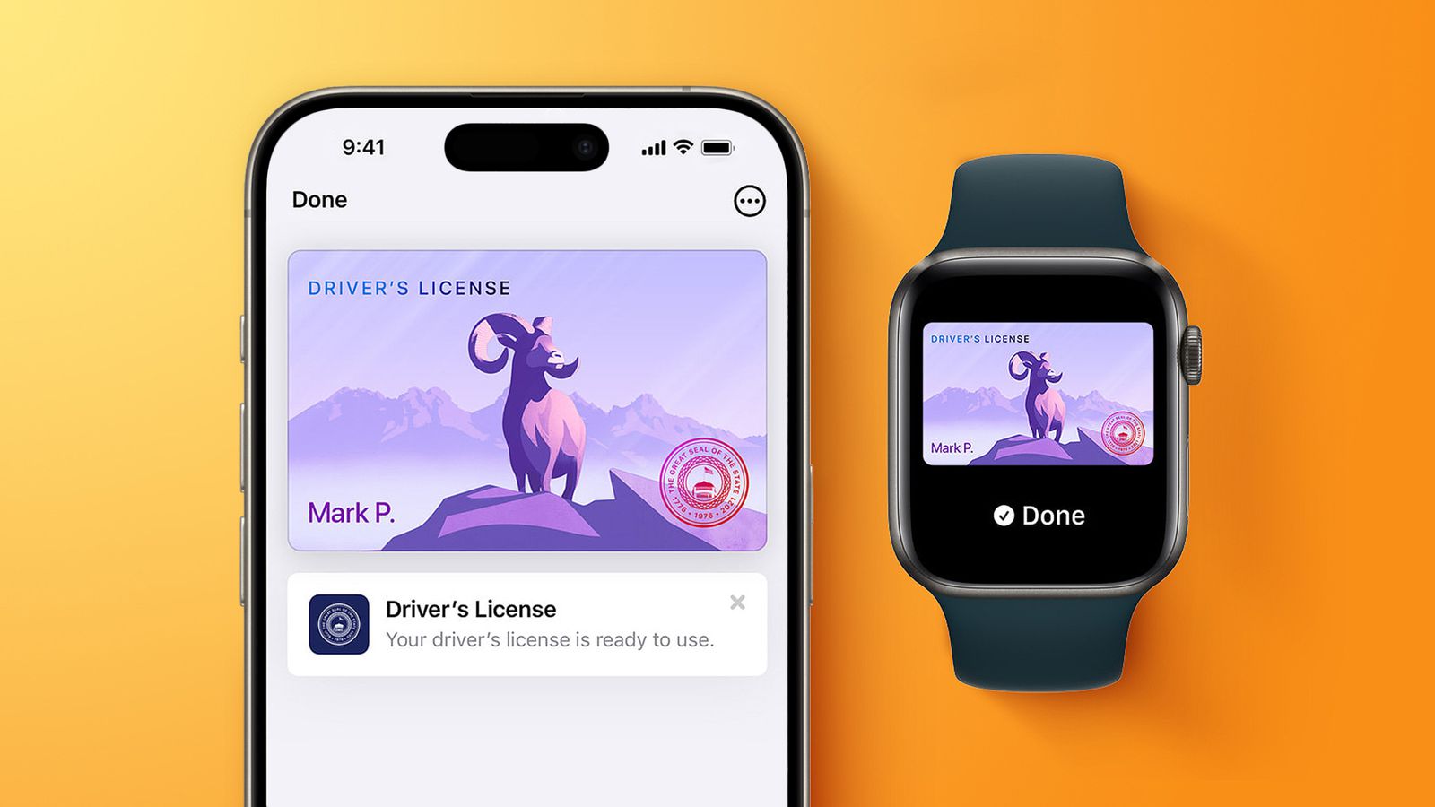 Seven additional U.S. states look to add driver’s licenses, state IDs to Apple Wallet app